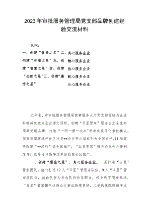 2023年审批服务管理局党支部品牌创建经验交流材料.docx