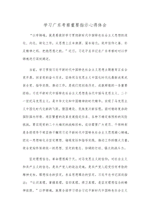 学习广东考察重要指示心得体会.docx
