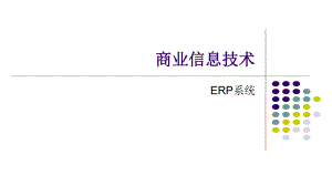 商业信息技术ERP系统.pptx