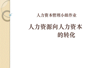 企业人力资源向人力资本的转化.pptx