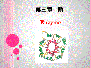 生物化学生物化学生物化学第三章酶.pptx