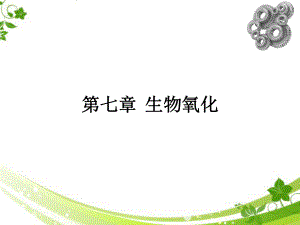 生物化学6章生物氧化.pptx