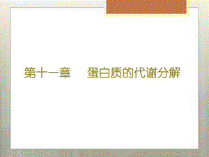 生物化学：蛋白质的代谢分解.pptx