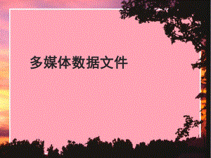 多媒体数据文件.pptx