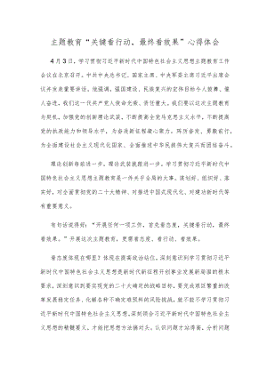 主题教育“关键看行动最终看效果”心得体会.docx