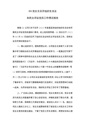 XX公司党总支召开组织生活会和开展民主评议党员情况报告.docx