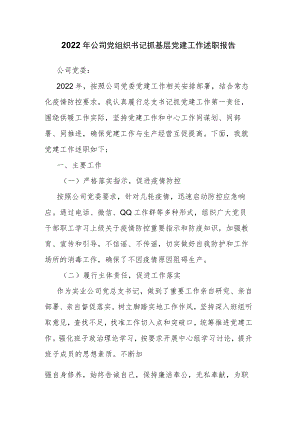 2022年公司党组织书记抓基层党建工作述职报告.docx