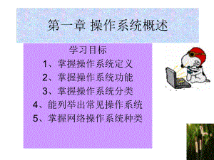 操作系统概述.pptx