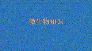 微生物知识培训.pptx