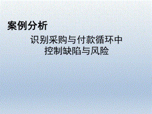 审计案例分析.pptx
