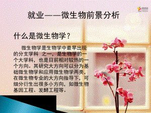 微生物与就业.pptx