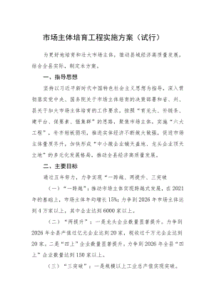 市场主体培育工程实施方案（试行）.docx