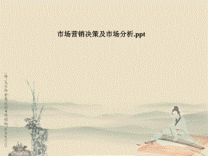 市场营销决策及市场分析.pptx