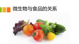 微生物与食品的关系.pptx