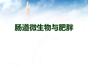 肠道微生物与肥胖.pptx