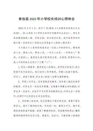 关于2023年小学校长培训的心得体会三篇例文.docx