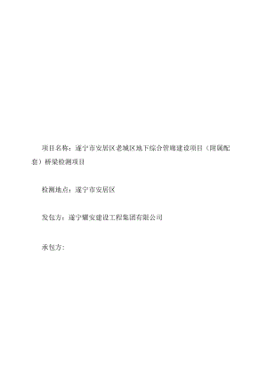 遂宁市安居区老城区地下综合管廊建设项目附属配套桥梁检测合同.docx