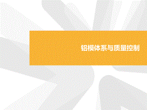 铝模体系与质量控制.pptx