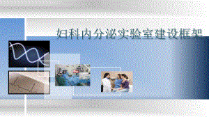 妇科内分泌实验室.pptx