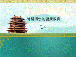 脊髓损伤的健康教育.pptx