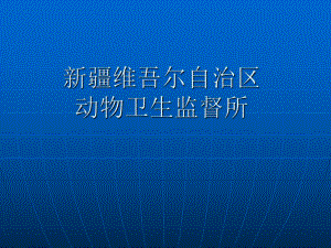 行政处罚程序课件.pptx