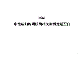 NGAL临床应用介绍.pptx