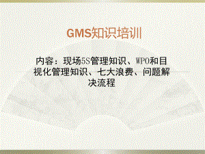 GMS培训资料.pptx