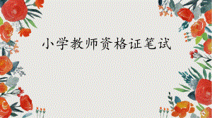 小教教师资格证的介绍.pptx