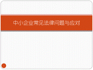 中小企业常见法律问题与应对.pptx