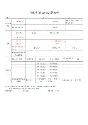 在建项目综合信息状态表（空白）.docx