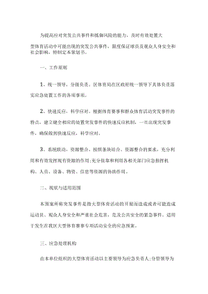 大型体育活动应急预案.docx