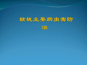 核桃病虫害防治.pptx