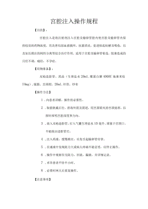 中医宫腔注药操作规程.docx
