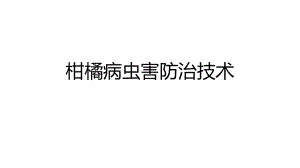 柑橘病虫害防治.pptx