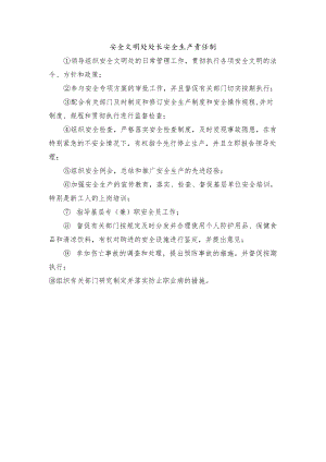 安全文明处处长安全生产责任制.docx