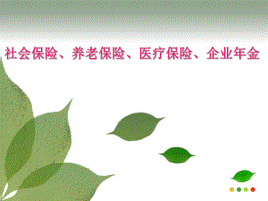 社保、养老保险、医疗保险、企业金.pptx