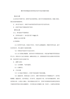 胸外科经胸途径食管肌层切开术技术操作规范.docx