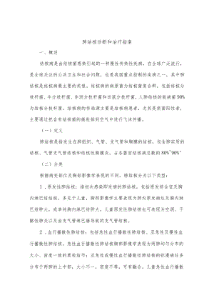 肺结核诊断和治疗指南.docx