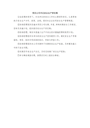 项目公司书记安全生产责任制.docx