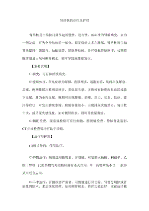 肾结核的诊疗及护理.docx