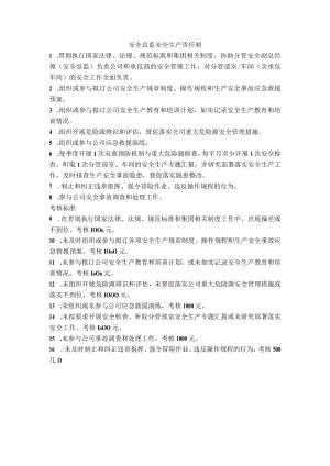 安全总监安全生产责任制.docx