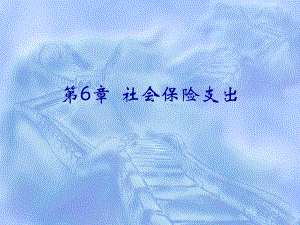 社会保险支出.pptx