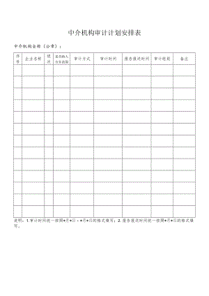 中介机构审计计划安排表.docx