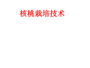 核桃栽培技术PPT.pptx