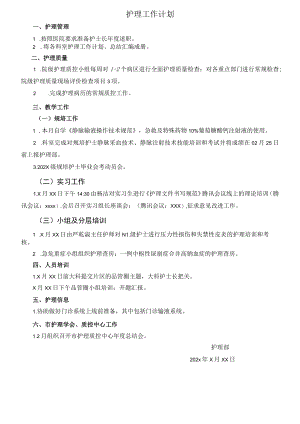 2023年护理部工作计划.docx