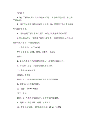 小班半日活动方案.docx