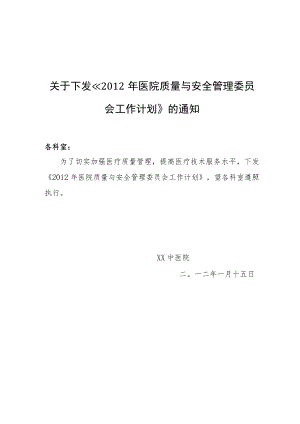 中医院质量与安全管理委员会工作计划.docx