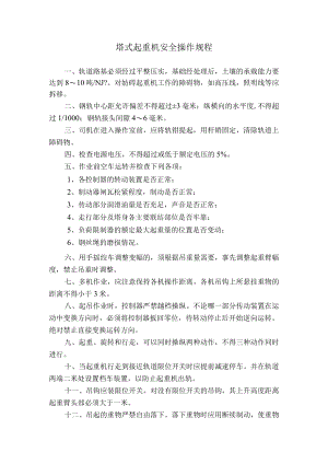 塔式起重机安全操作规程.docx