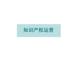知识产权运营徐.pptx
