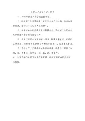 分管生产副主任安全职责.docx